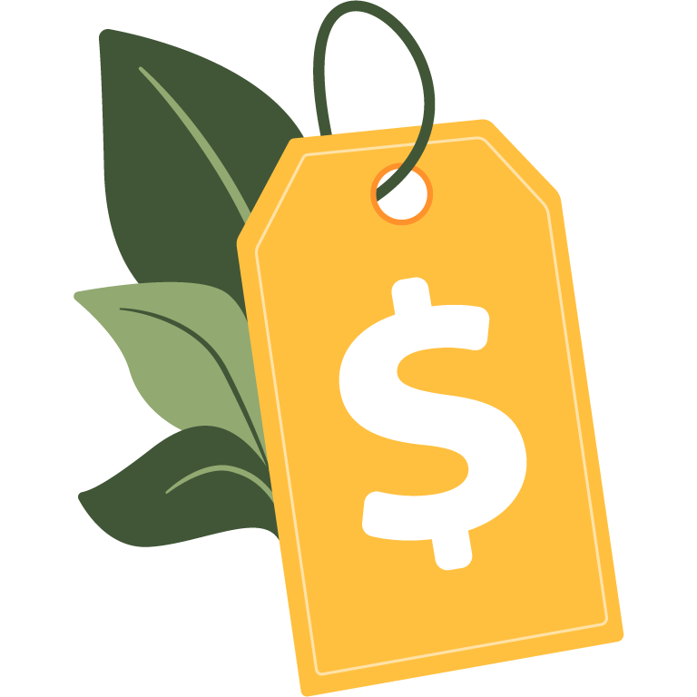 Pricing Illustration