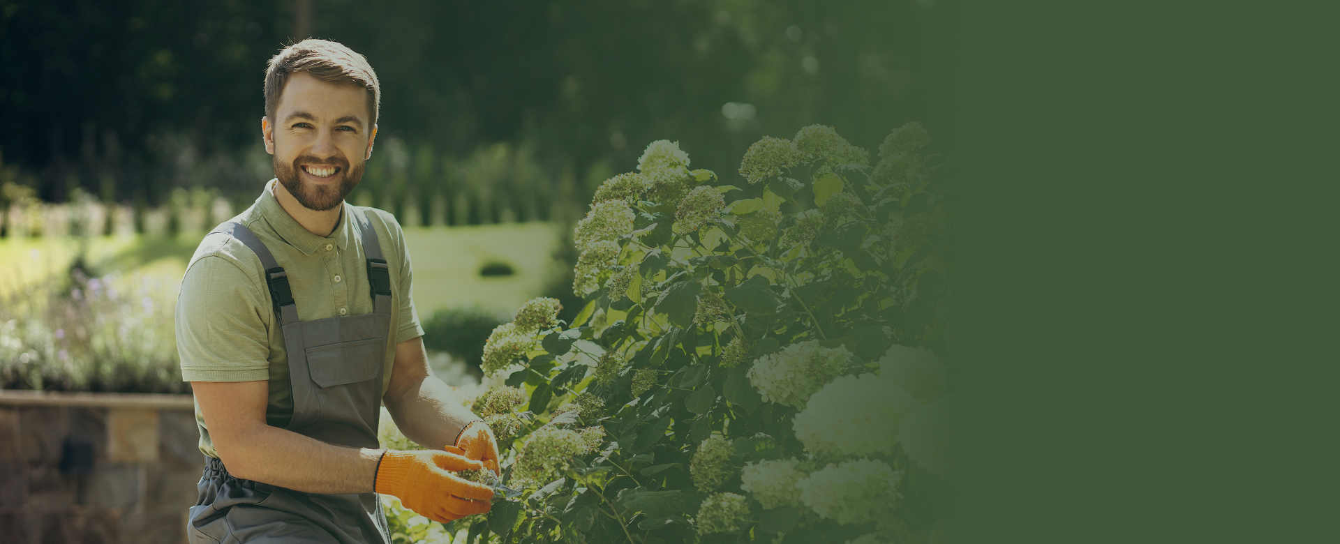 Luis M. - Garden Pro